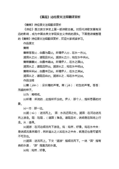 《蒹葭》诗经原文注释翻译赏析