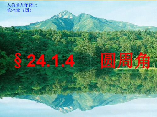 人教版数学九年级上册 24.1.4圆周角(共21张PPT)