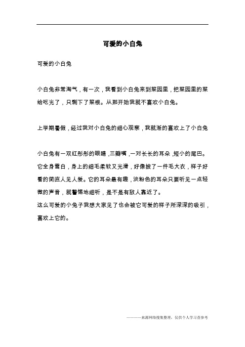 可爱的小白兔_2