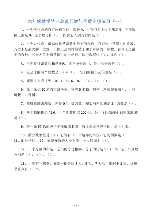 六年级数学毕业总复习数与代数专项练习(一)