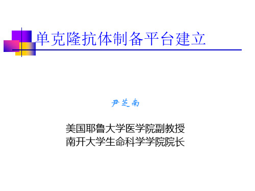 单克隆抗体制备的技术演示课件