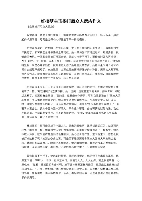 红楼梦宝玉挨打后众人反应作文