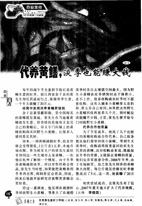 代养黄鳝,淡季也能赚大钱