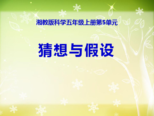 《猜想与假设》PPT
