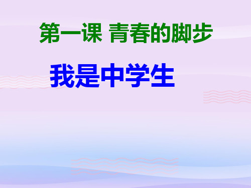 我是中学生ppt优秀课件1 苏教版PPT课件