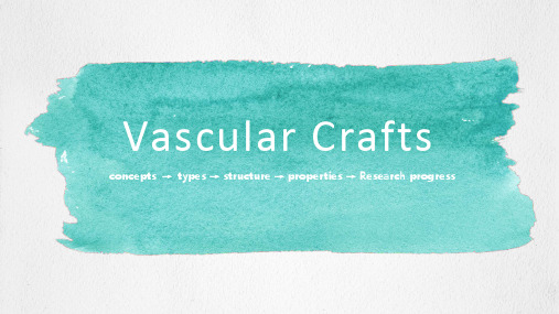 人工血管支架Vascular-Crafts