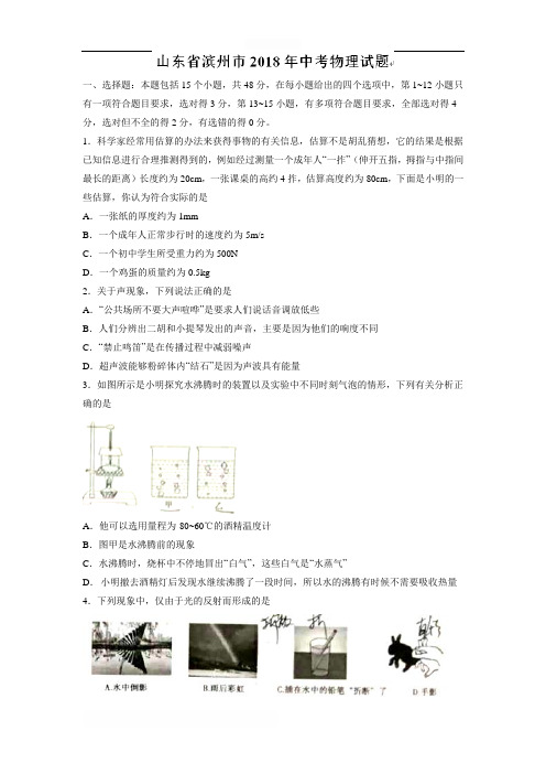 山东省滨州市2018年中考物理试题