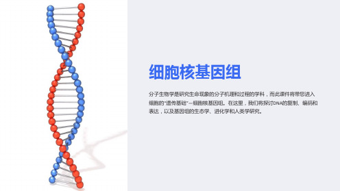 分子生物学课件第01章细胞核基因组