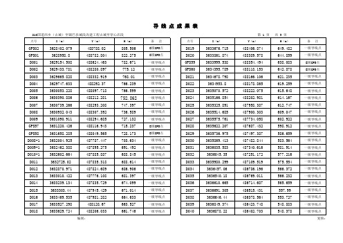 导线点成果表正式