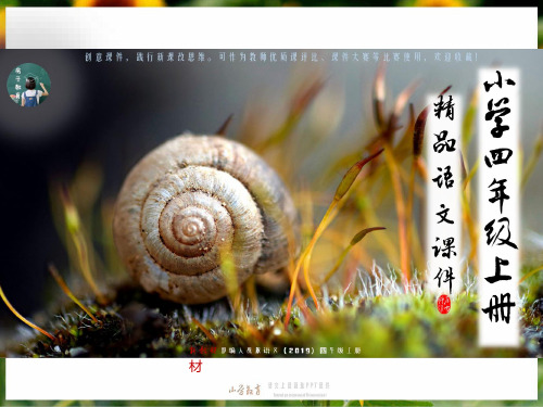 四年级上册 6 蝙蝠与雷达 精品PPT课件(统编语文)