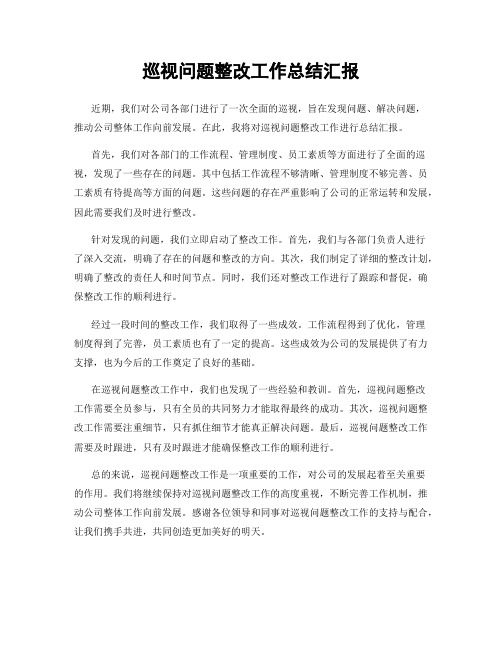 巡视问题整改工作总结汇报