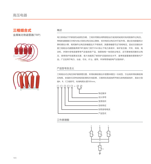 人民电器 三相组合式金属氧化物避雷器(TBP) 产品说明书