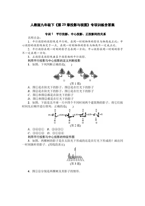  人教版九年级下《第29章投影与视图》专项训练含答案