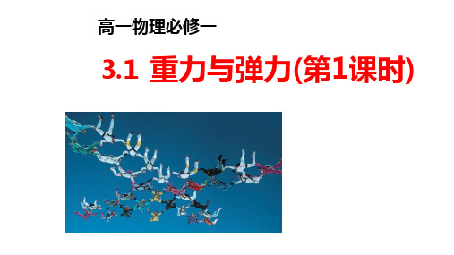 人教版2019高中物理必修一3.1重力与弹力  课件(共20张PPT)