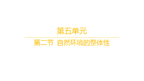 鲁教版高中地理选择性必修1自然地理基础 分层作业 第五单元 第二节 自然环境的整体性