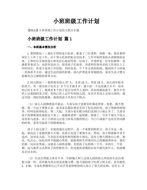 小班班级工作计划