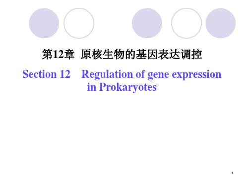 原核生物的基因表达调控PPT课件