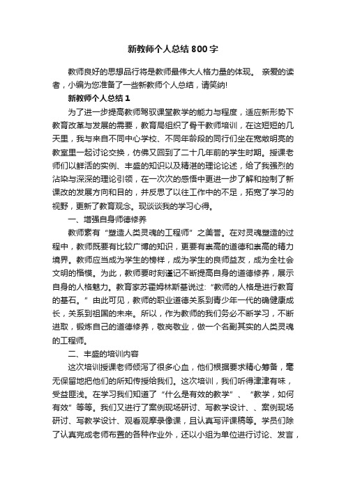 新教师个人总结800字