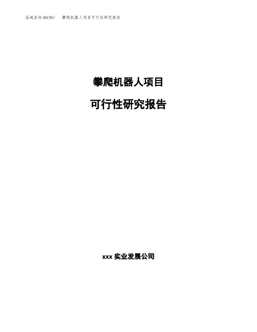 攀爬机器人项目可行性研究报告范文