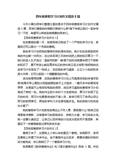 四年级寒假学习计划作文精选5篇