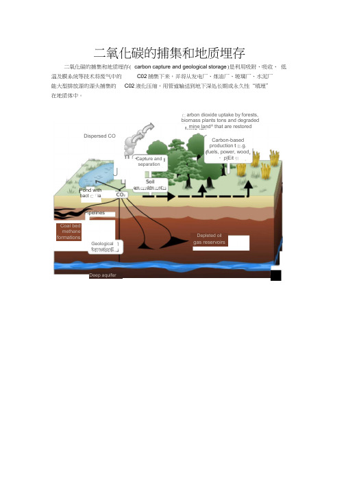 CO2的捕集与埋存