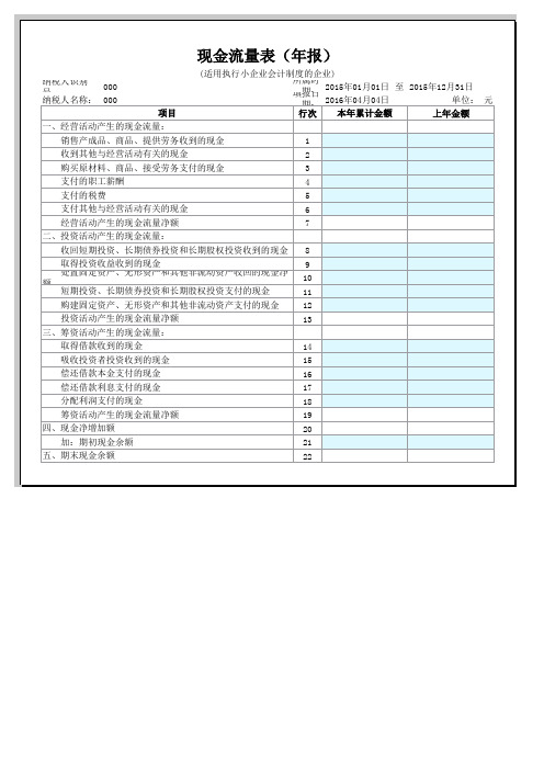 财务报表年报(小企业)