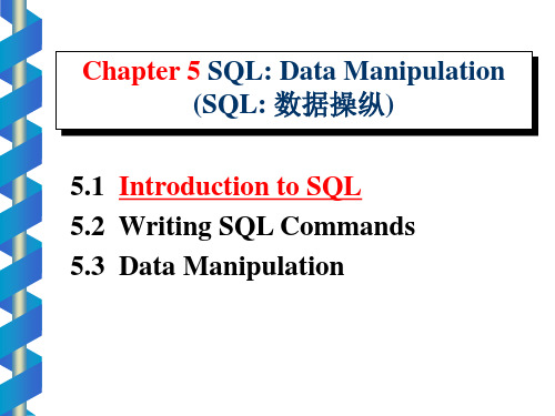 sql语句教程双语ppt