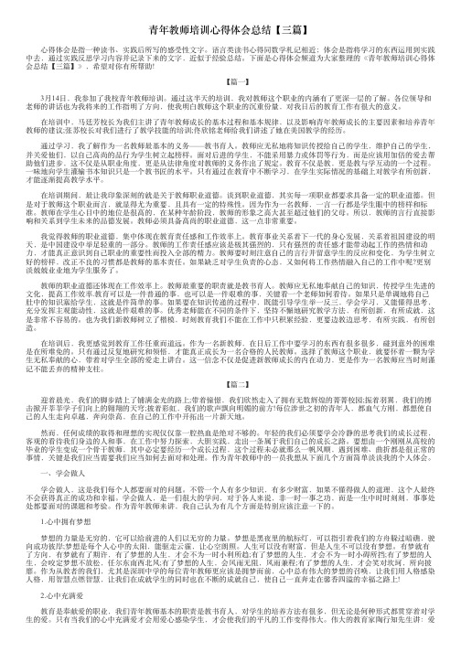 青年教师培训心得体会总结【三篇】