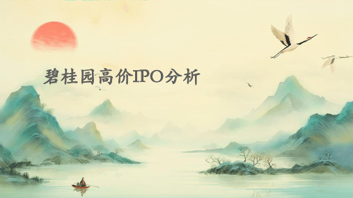 碧桂园高价IPO分析