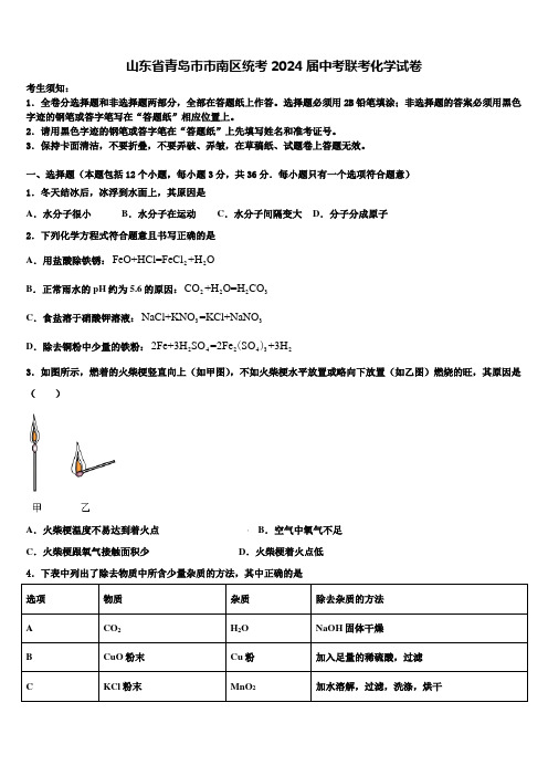 山东省青岛市市南区统考2024届中考联考化学试卷含解析