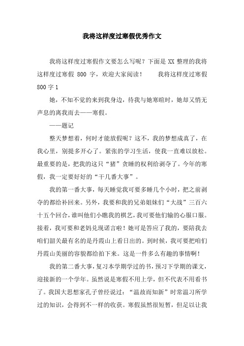 我将这样度过寒假优秀作文