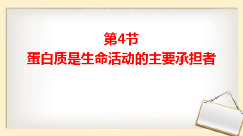 蛋白质是生命活动的主要承担者课件-高一上学期生物人教版必修1