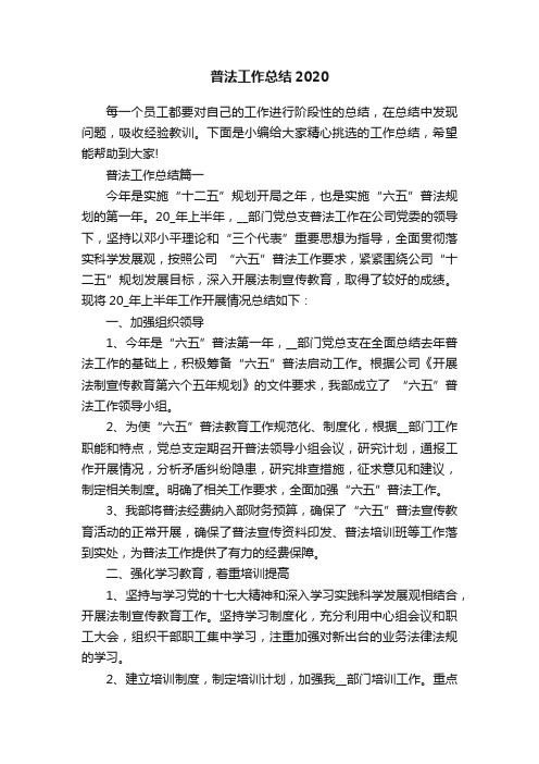 普法工作总结2020