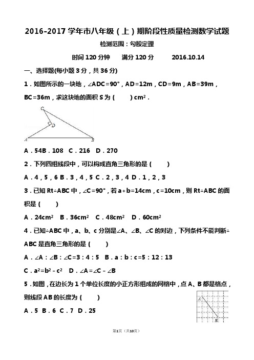 2016-2017学年市八年级(上)期阶段性质量检测数学试题及答案