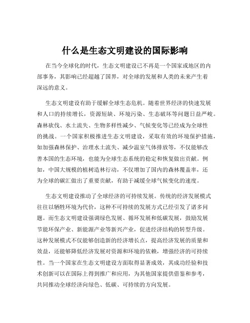 什么是生态文明建设的国际影响