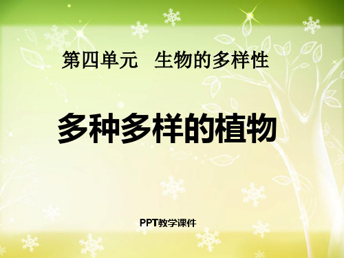 科学六上《多种多样的植物》2PPT课件