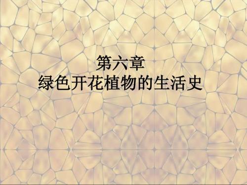 北师大版七年级生物上册期末复习(第六章第一、二、三节)