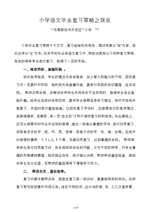 小学语文毕业班复习策略之我见