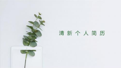 简约小清新个人应聘简历ppt模板