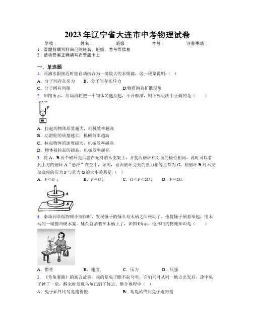 2023年辽宁省大连市中考物理试卷附解析