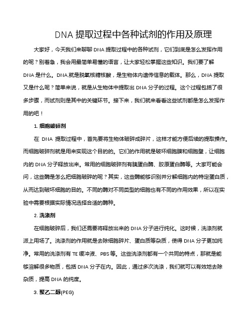 DNA提取过程中各种试剂的作用及原理