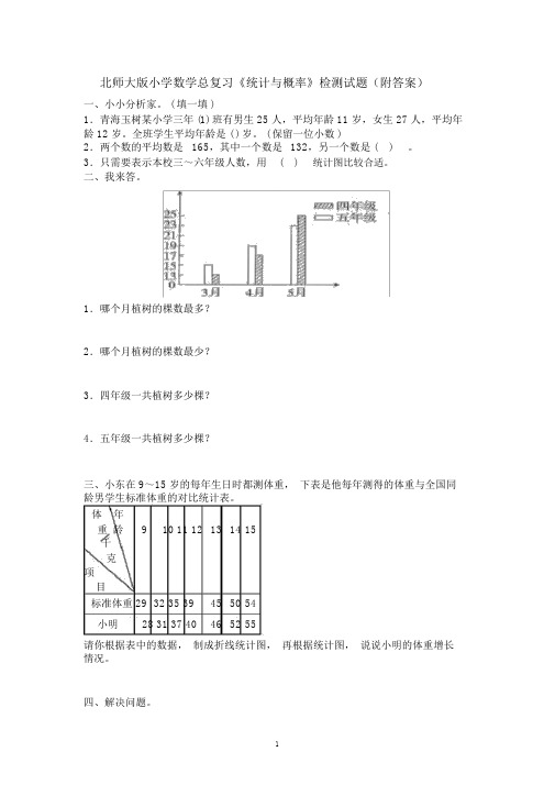 北师大版小学数学总复习《统计与概率》检测试题(附答案)