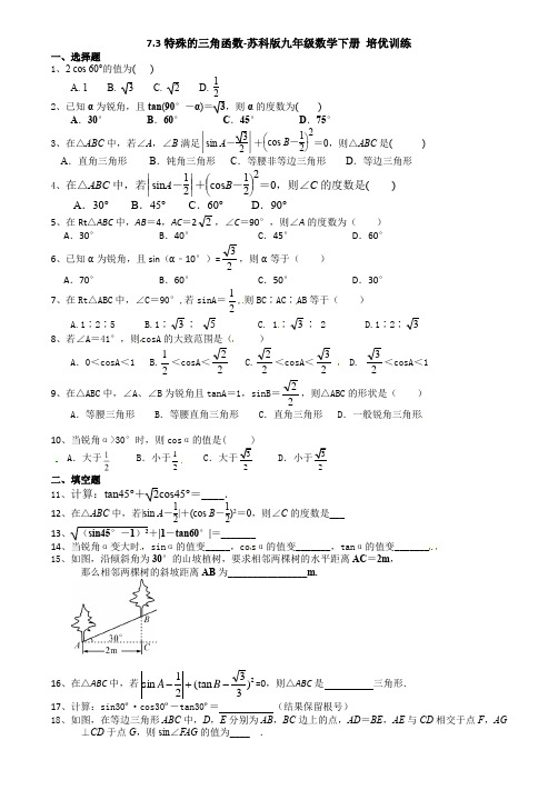 7.3特殊的三角函数-苏科版九年级数学下册培优训练