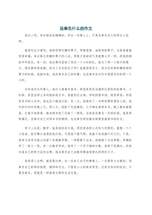 没辜负什么的作文