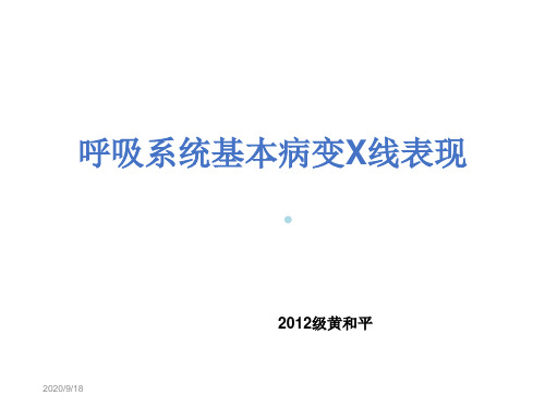 本科教学呼吸系统基本病变X线表现