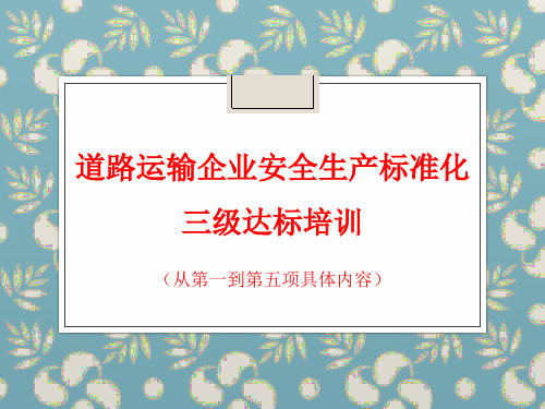 道路运输企业安全生产标准化三级达标培训