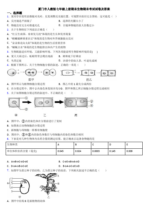 厦门市人教版七年级上册期末生物期末考试试卷及答案