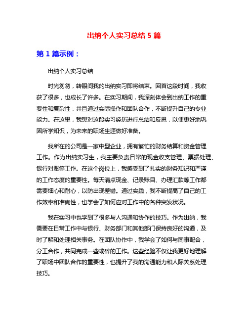 出纳个人实习总结5篇