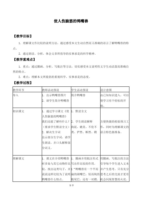 使人伤脑筋的鸭嘴兽 优秀教案