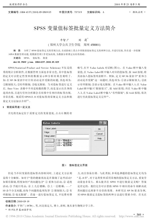 SPSS变量值标签批量定义方法简介